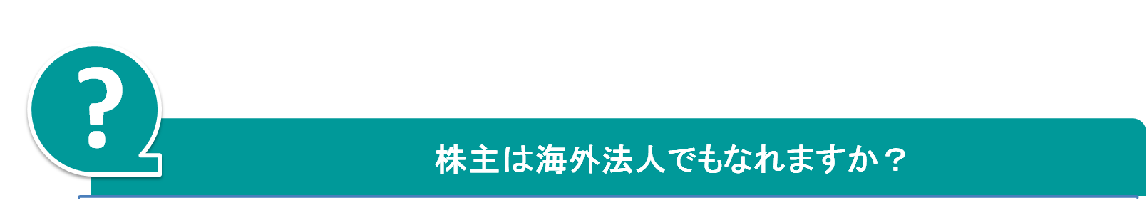 株主　海外法人