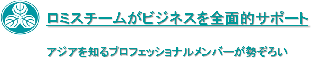 私達のチーム　ロミス